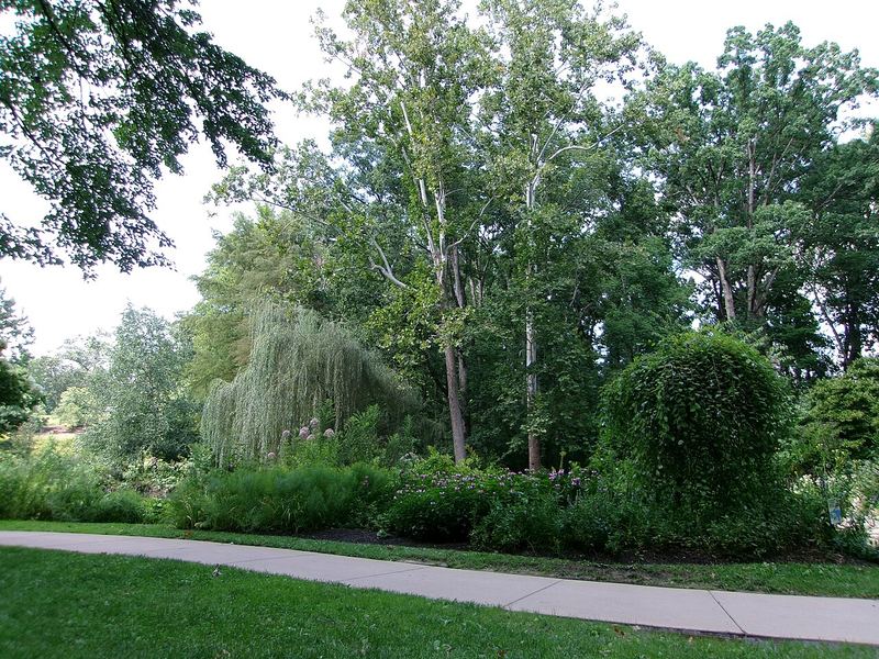 A walking path through the trees and gardens of the Edith J. Carrier Arboretum at JMU